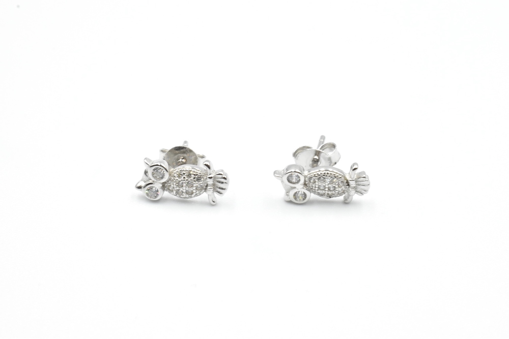 silver earrings