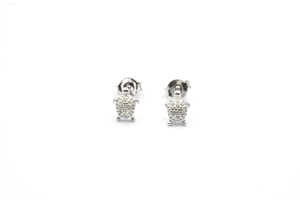 silver earrings