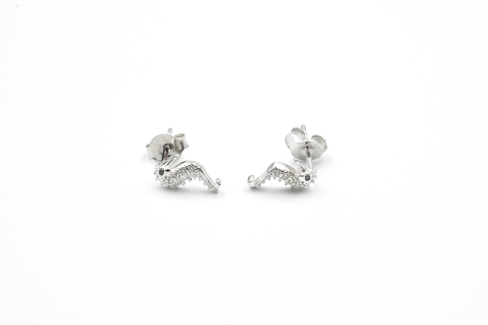 silver earrings