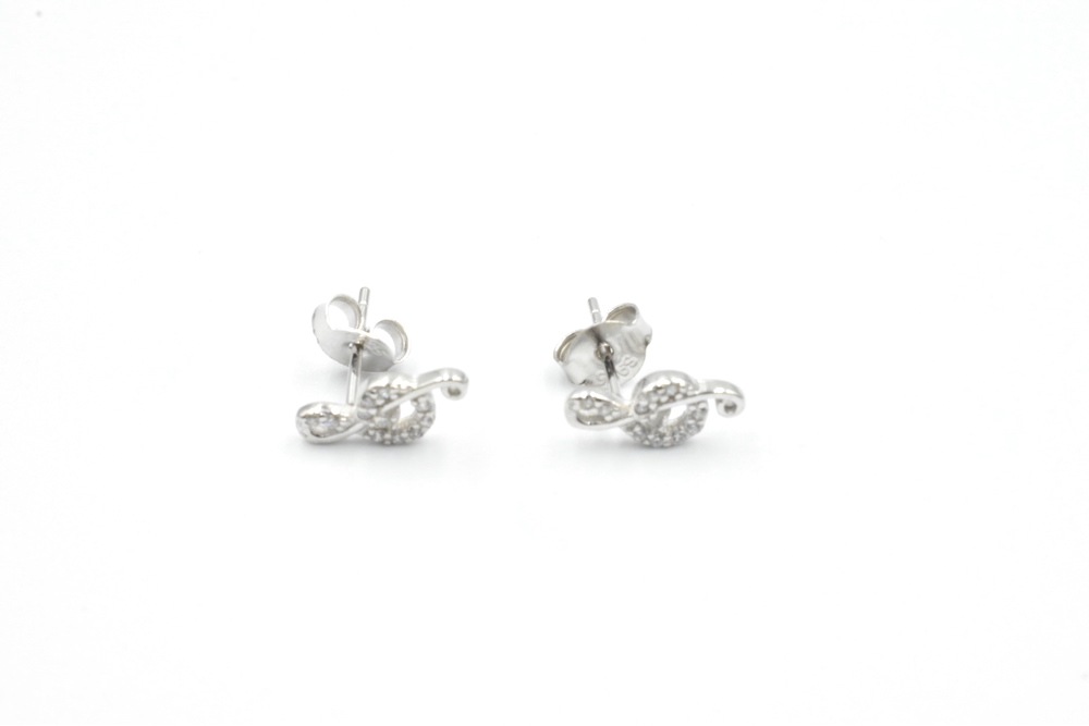 silver earrings