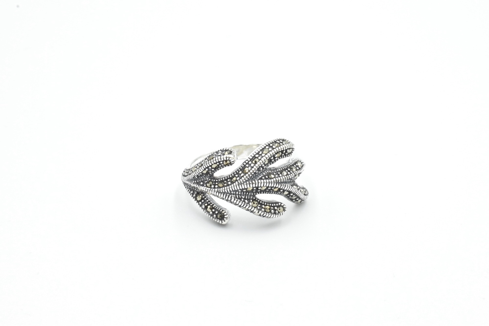 silver ring 
