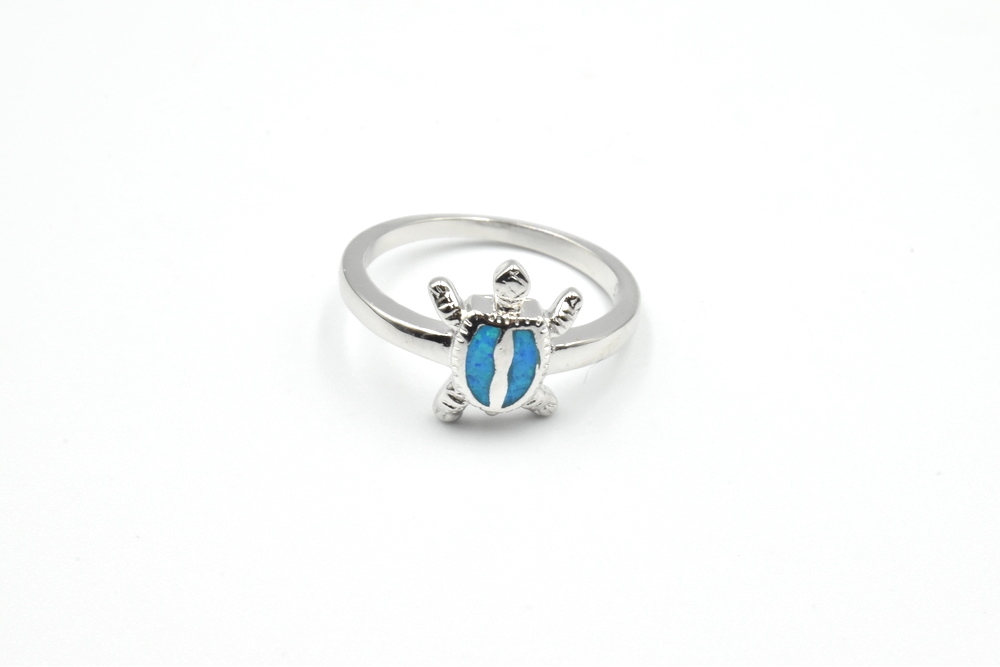 silver ring 