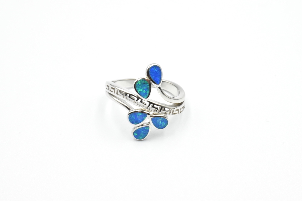 silver ring 