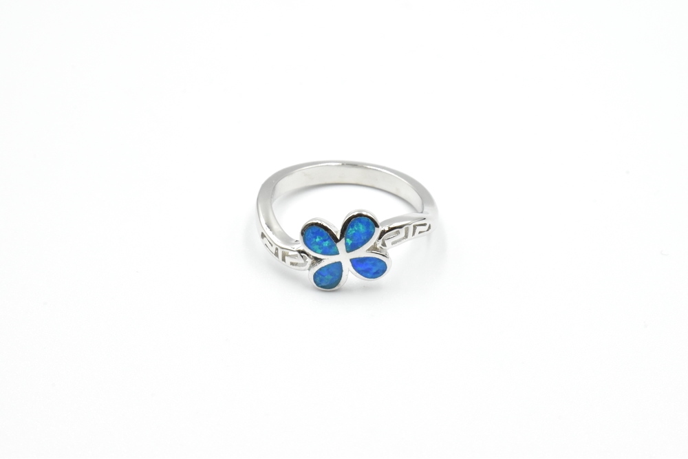 silver ring 